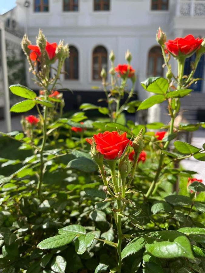 Hotel The Shahar Tashkent Esterno foto
